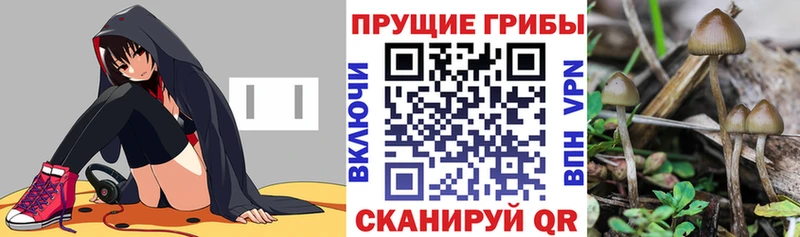 KRAKEN ссылка Белорецк Псилоцибиновые грибы Magic Shrooms